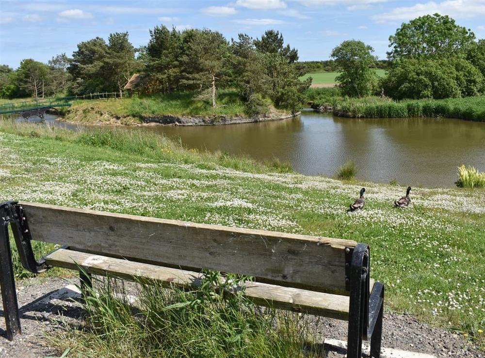 Sitting area at Miners Meadow in Wheatley Hill, Durham, England