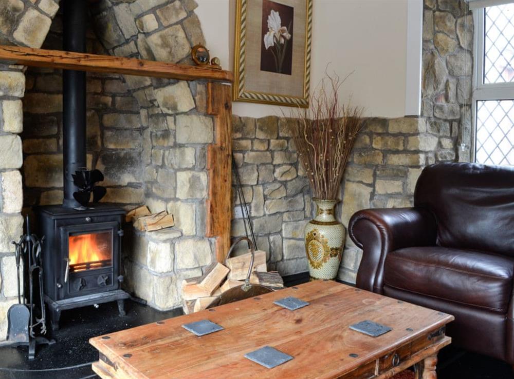 Cosy living room with wood burner (photo 2) at Minnow Cottage in Minnigaff, near Newton Stewart, Dumfries and Galloway, Wigtownshire