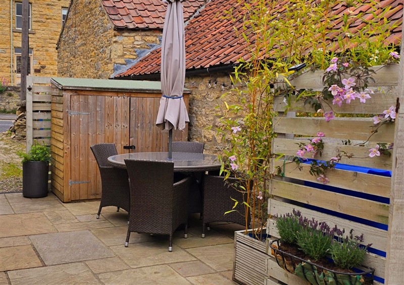 The garden at Minns Cottage, Snainton