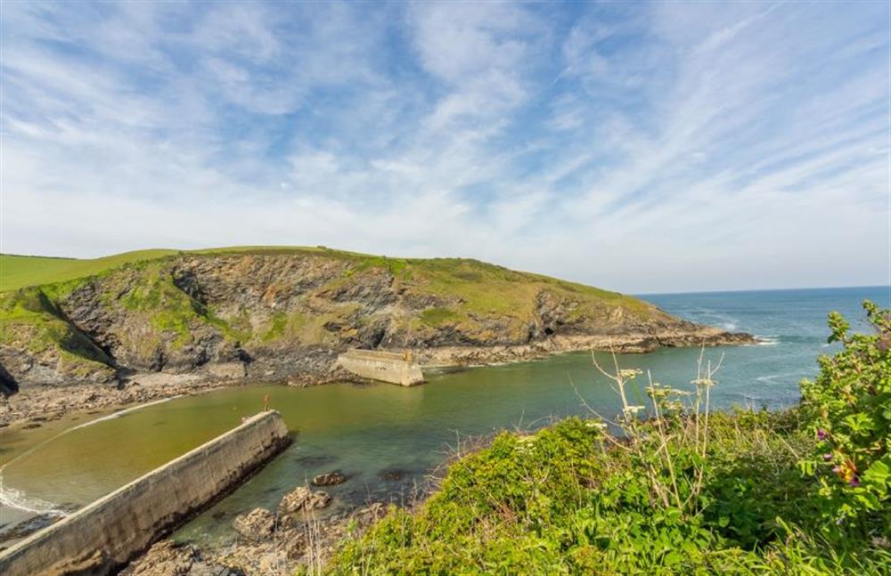 The Cornish coast is overflowing with lush and vibrant vegetation at Miss Fishers, Port Isaac