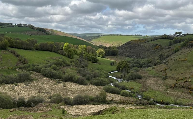 Rural landscape