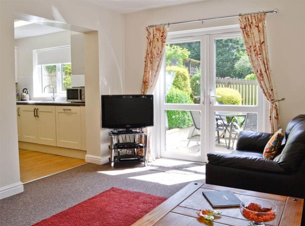 Living room at Mole in Swimbridge, near Barnstaple, Devon