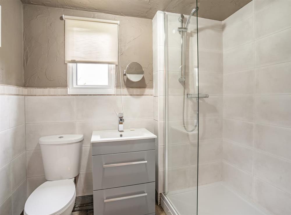 Shower room at Molehill Lodge in Ammanford, Dyfed