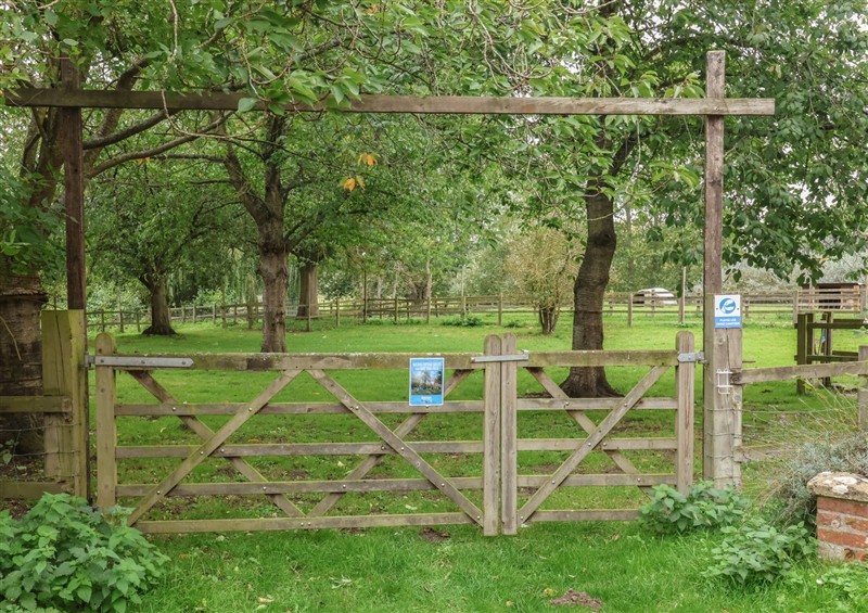 The garden in Molly (Cow Shed 6) at Molly (Cow Shed 6), Campsea Ashe