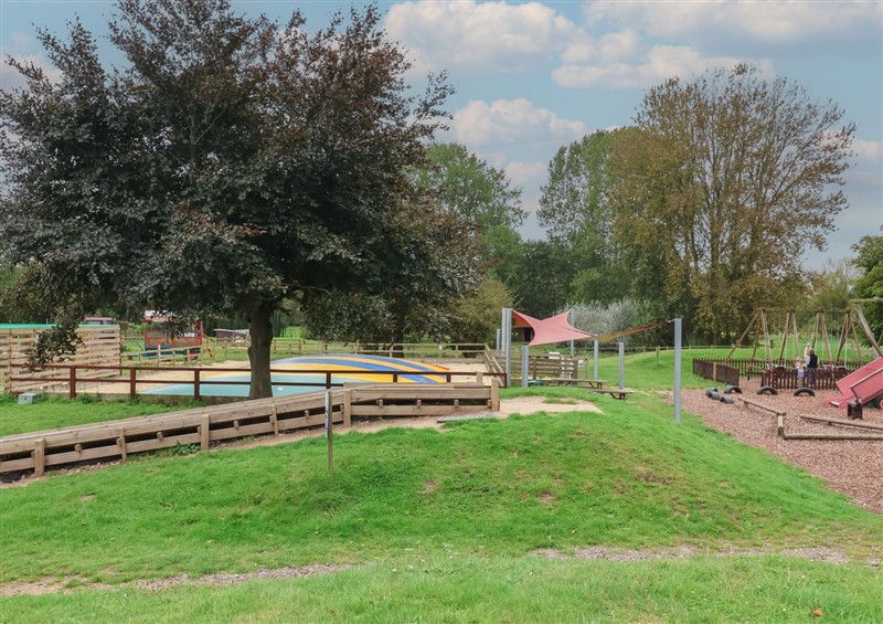 The garden at Molly (Cow Shed 6), Campsea Ashe