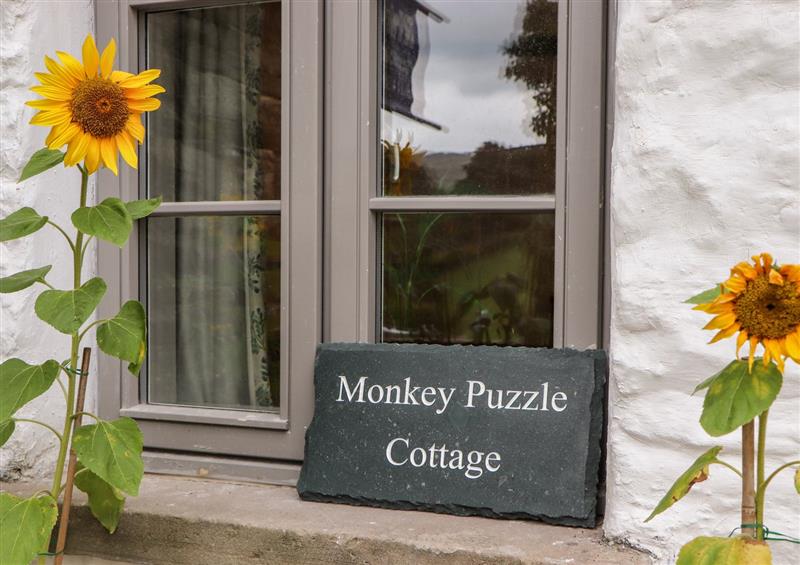 Enjoy the garden (photo 2) at Monkey Puzzle Cottage, Sedbergh