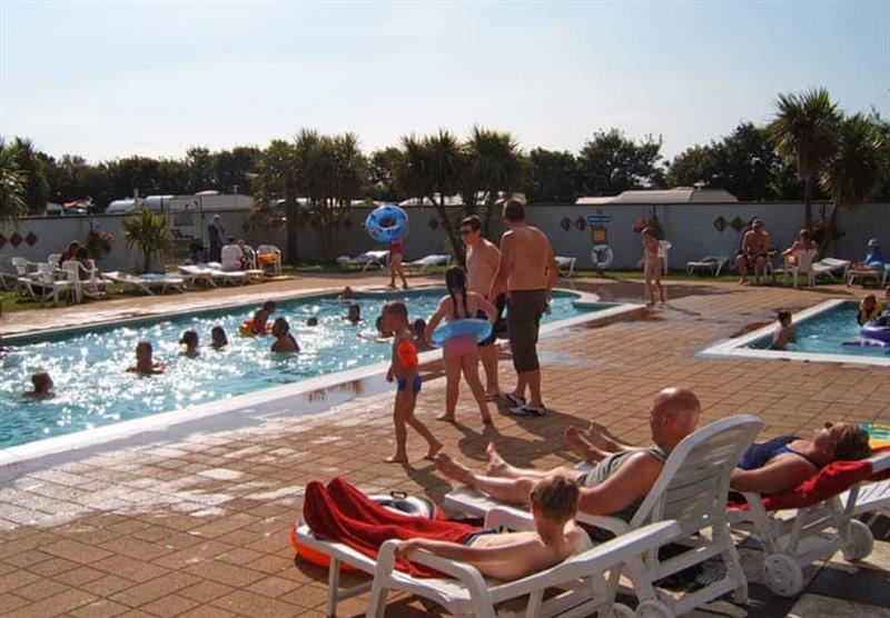 Relax by (or in)  the pool at Monkey Tree Holiday Park in Newquay, Cornwall