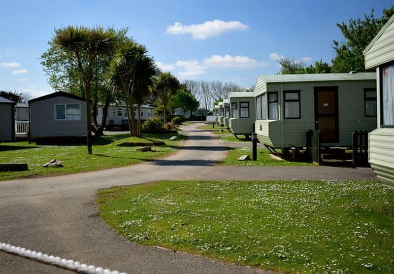 The park at Monkey Tree Holiday Park in Newquay, Cornwall