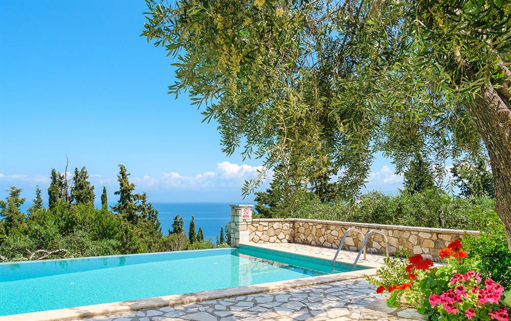 A photo of Monodendri Blue