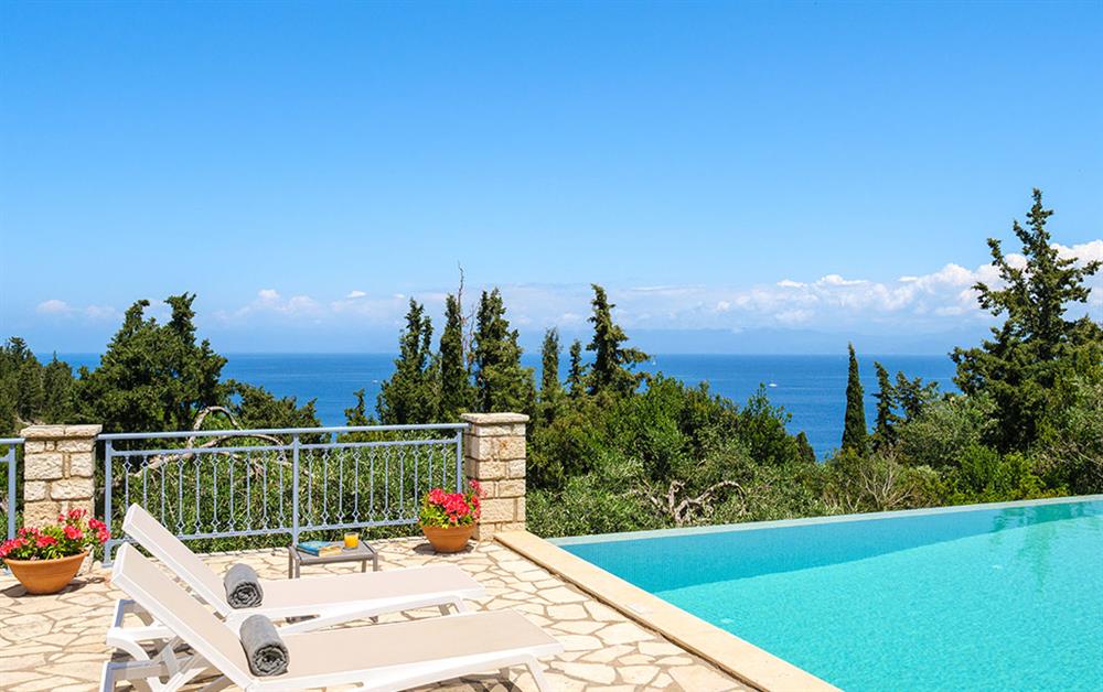 A photo of Monodendri Blue