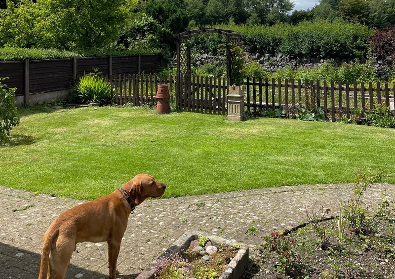 This is the garden at Montclair, Buxton