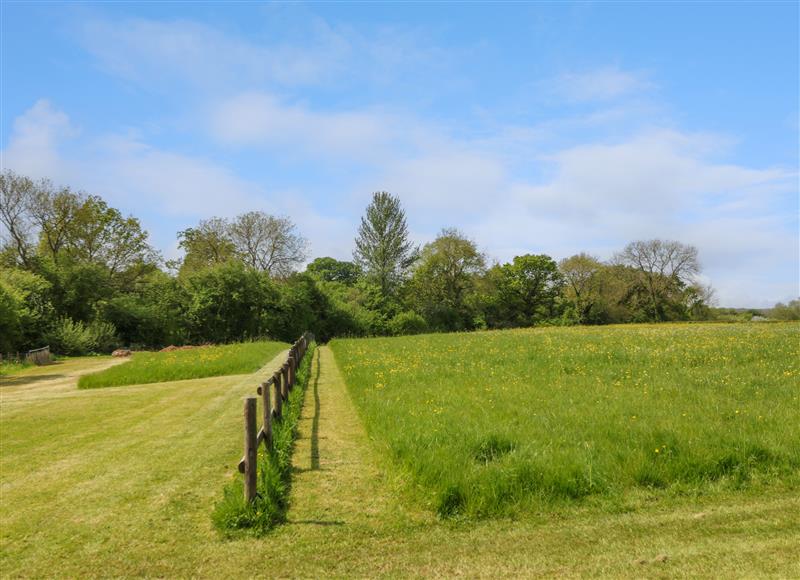 The area around Monument View