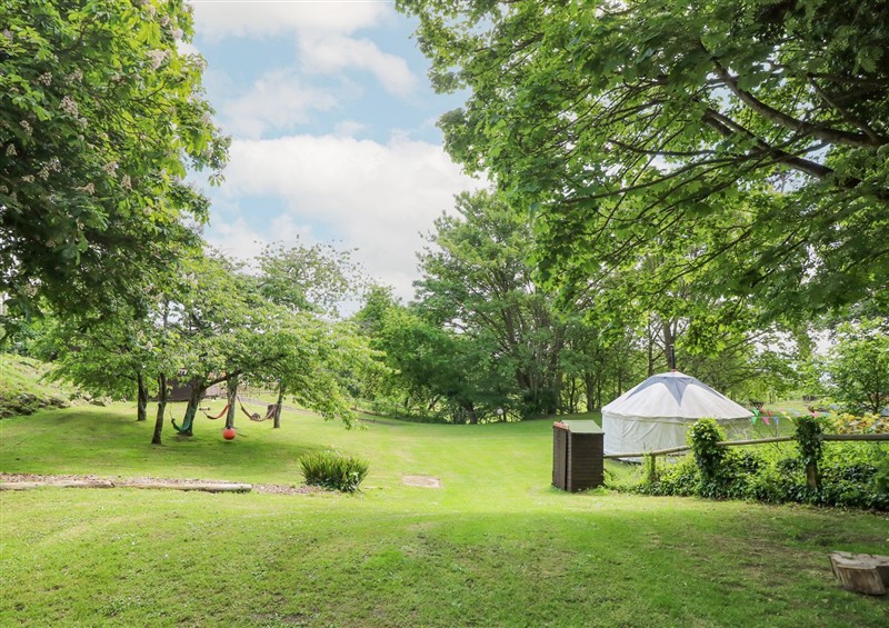 Enjoy the garden (photo 4) at Moonlight, Ventnor