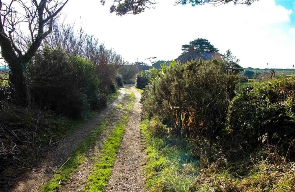 Outdoor area (photo 2) at Moor Magy in Penzance, Cornwall