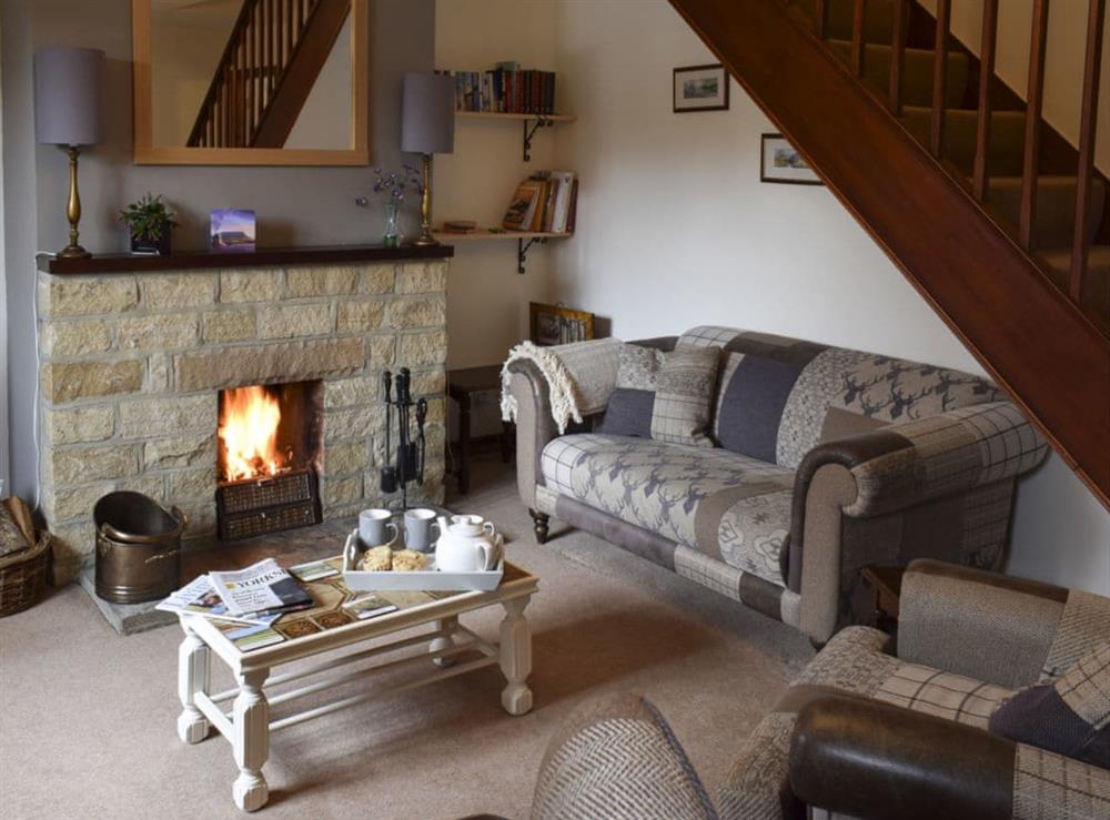 Comfortable living room with open fire at Moordale Cottage in Reeth, near Richmond, North Yorkshire