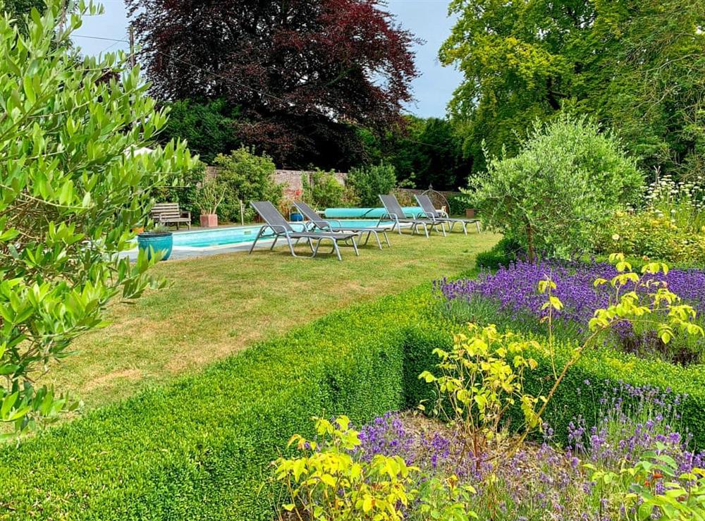 Swimming pool at Moorhen Cottage in Hollingbourne, near Maidstone, England