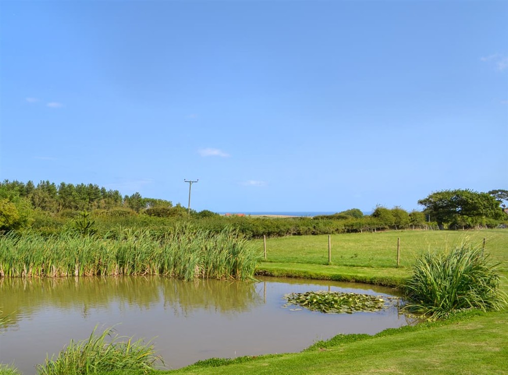Surrounding area at Moorhen Cottage in Staithes, North Yorkshire