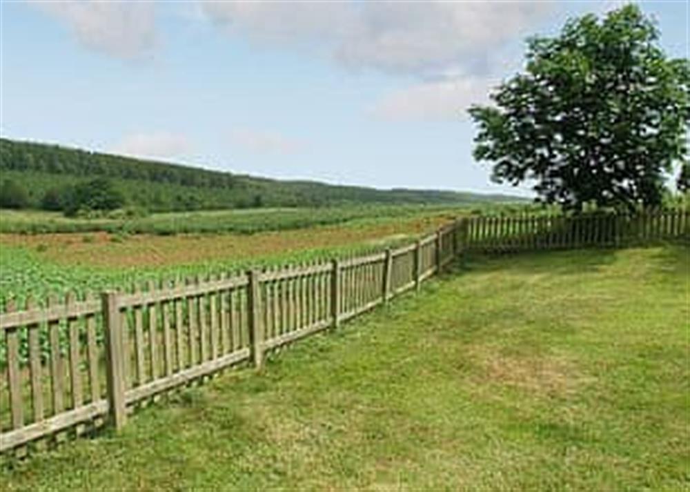 Garden and grounds at Moorhouse Farm Cottage in Hovingham, near York, North Yorkshire