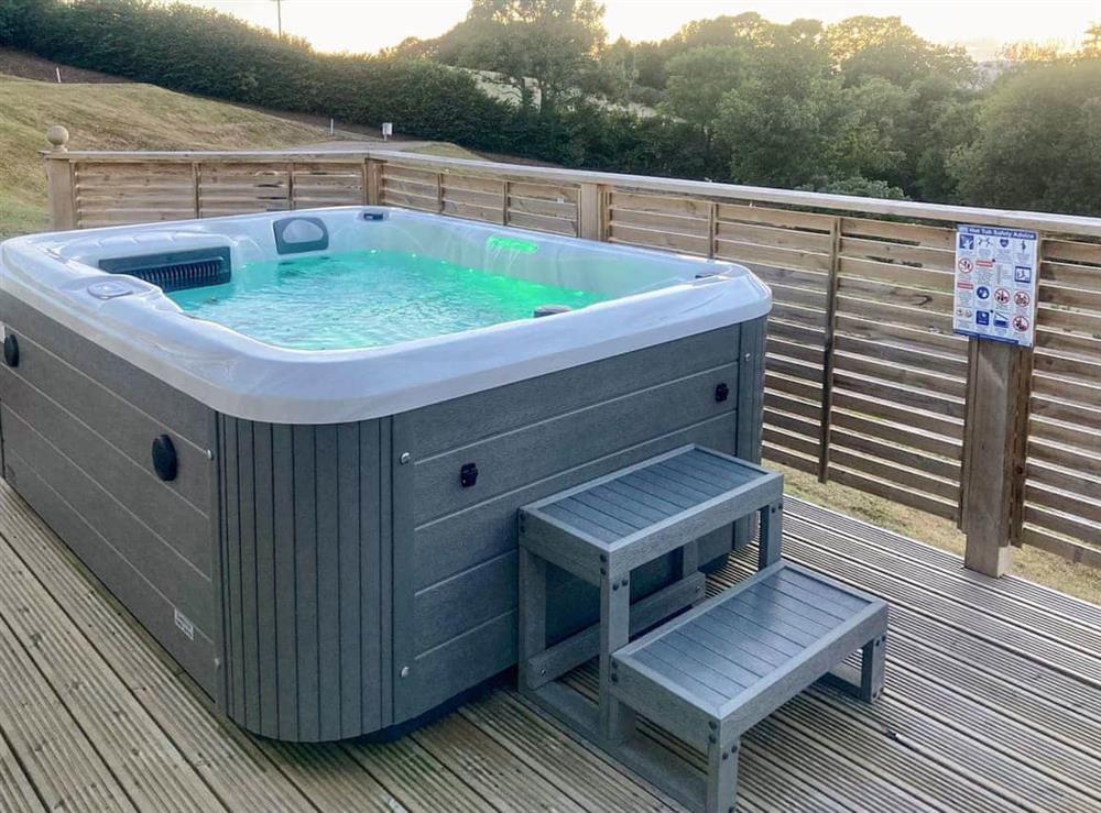 Hot tub at Moorland Views 1 in Newton Abbot, Devon