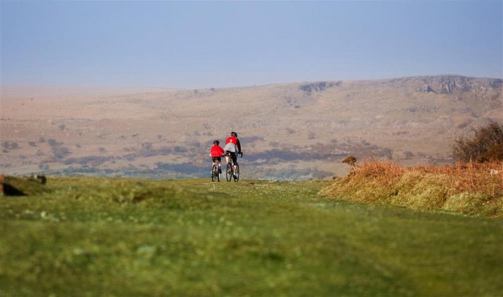 Cycling on Dartmoor