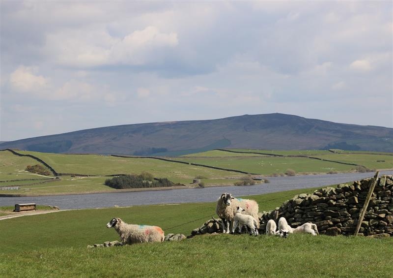 The setting around Moorlands Manor