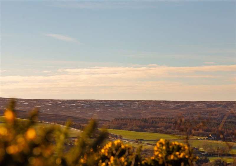 Rural landscape