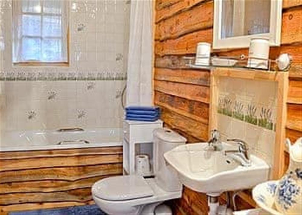 Bathroom at Moorside Farm : Moorside Lodge in Askam-in-Furness, Great Britain