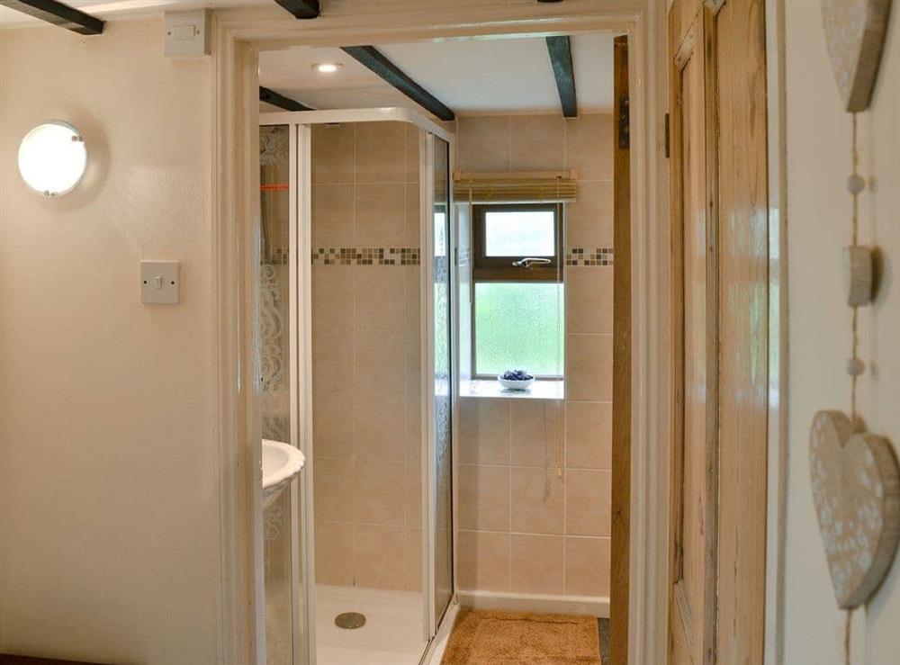 Shower room at Moorview Cottage in Cuddlipptown, near Tavistock, Devon