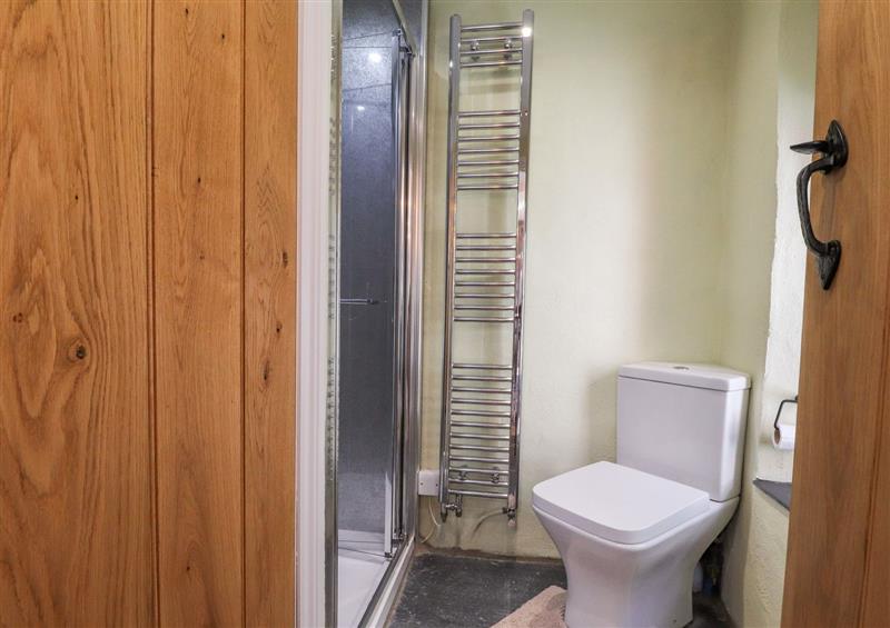 The bathroom at Morawel Fach, Newport