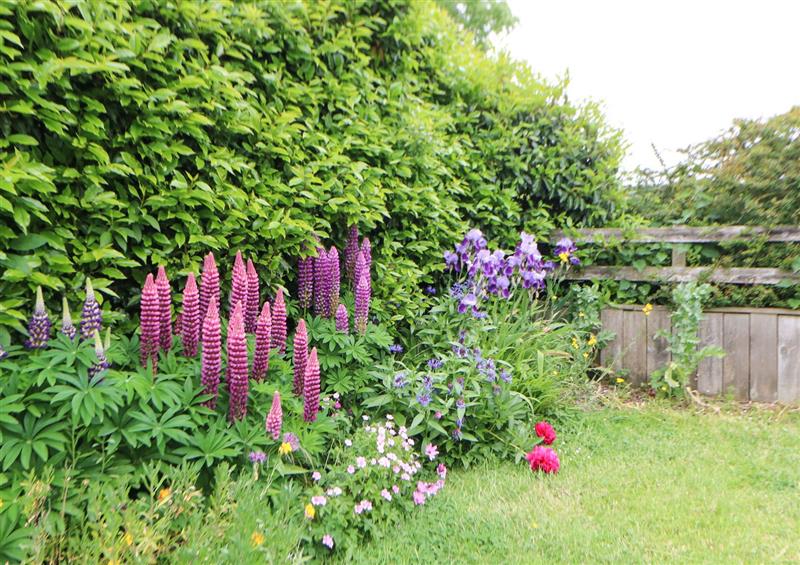 Enjoy the garden at Mordon Moor Cottage, Sedgefield
