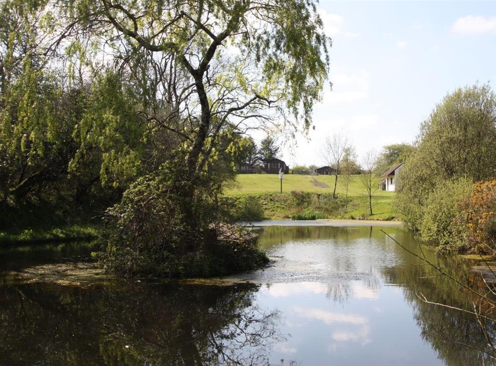 A photo of Clover Cottage at Moreton Farm Leisure Park