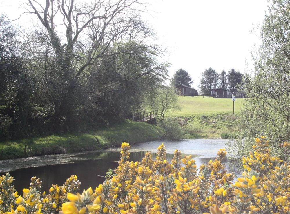 A photo of Clover Cottage at Moreton Farm Leisure Park