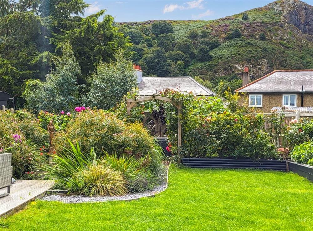 Garden at Morfa House in Conwy, Gwynedd