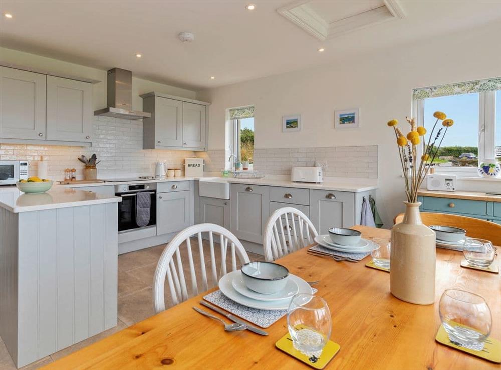 This is the kitchen at Morlan Cottage in Newport, Pembrokeshire, Dyfed