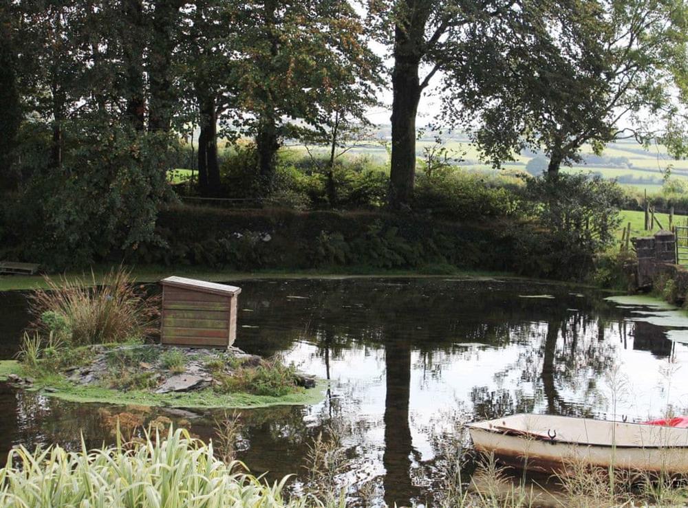 Tranquil pond area at The Farmhouse, 