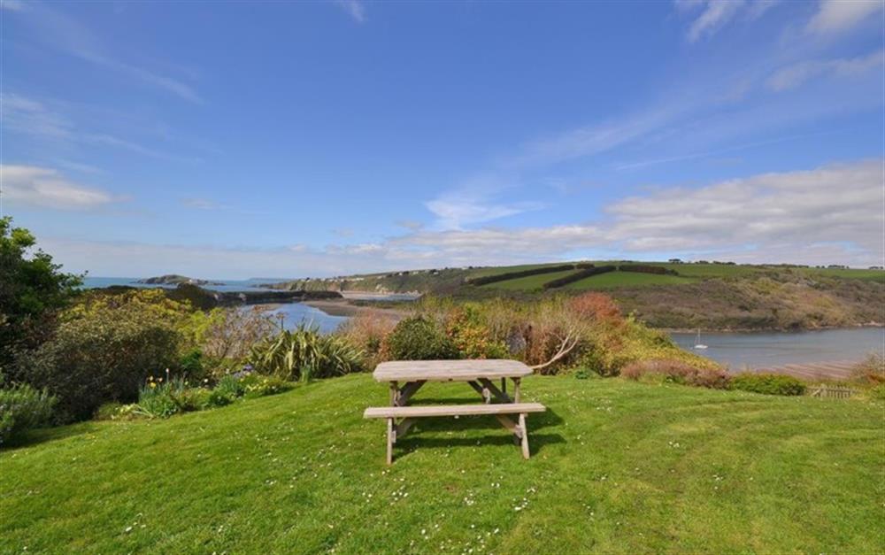 What better spot for a picnic on the lawn at Morstones in Bantham