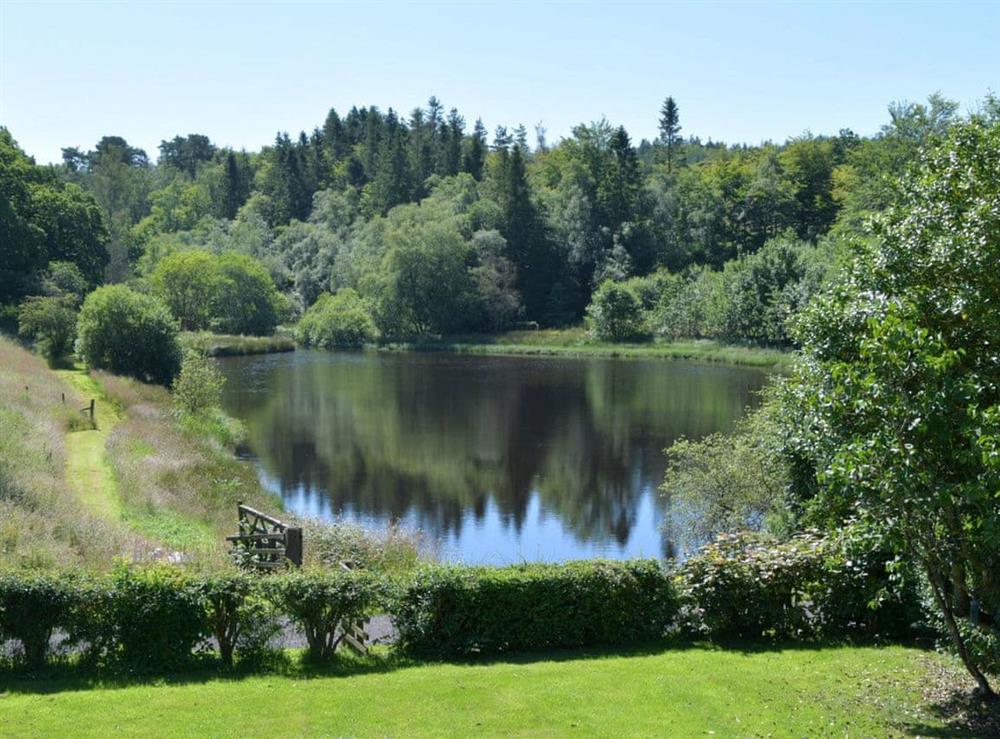 Garden and grounds at Morton Mains Steading Cottage in Thornhill, Dumfries and Galloway, Dumfriesshire