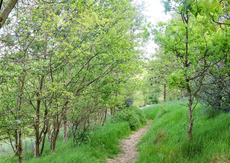 Rural landscape (photo 2) at Moss Bank, Jacobs Wood, Silsden