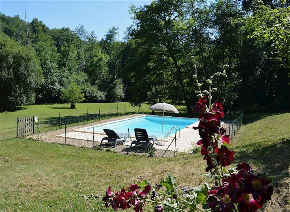 Swimming pool (photo 2) at Moulin de Beneventie in Mouleydier, Dordogne, France