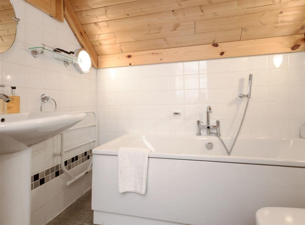 En-suite bathroom at Mountain Bear Lodge in Nethy Bridge, near Aviemore, Highlands, Inverness-Shire