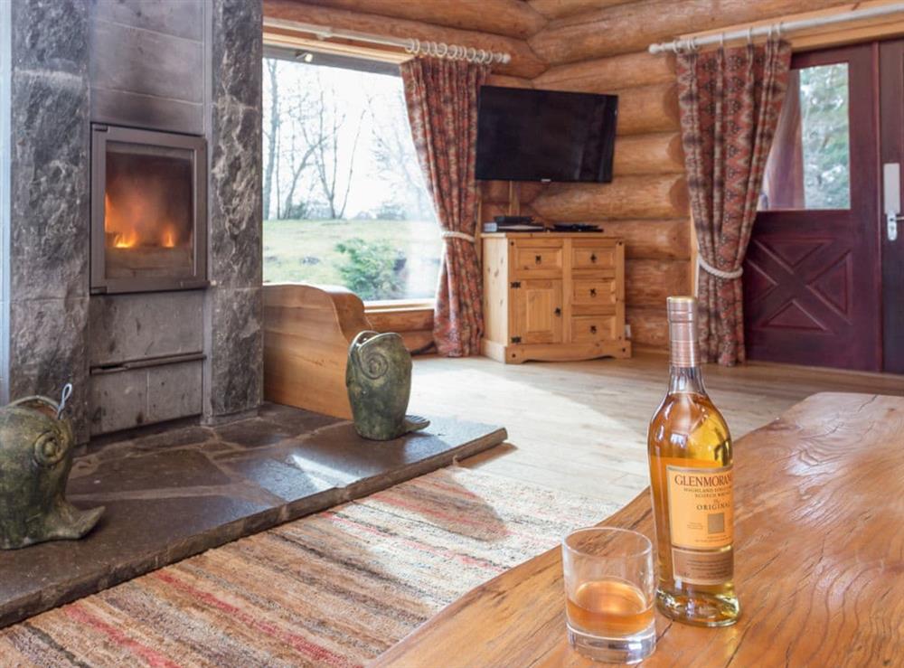 Living area with a wonderful cosy wood burner at Mountain Bear Lodge in Nethy Bridge, near Aviemore, Highlands, Inverness-Shire