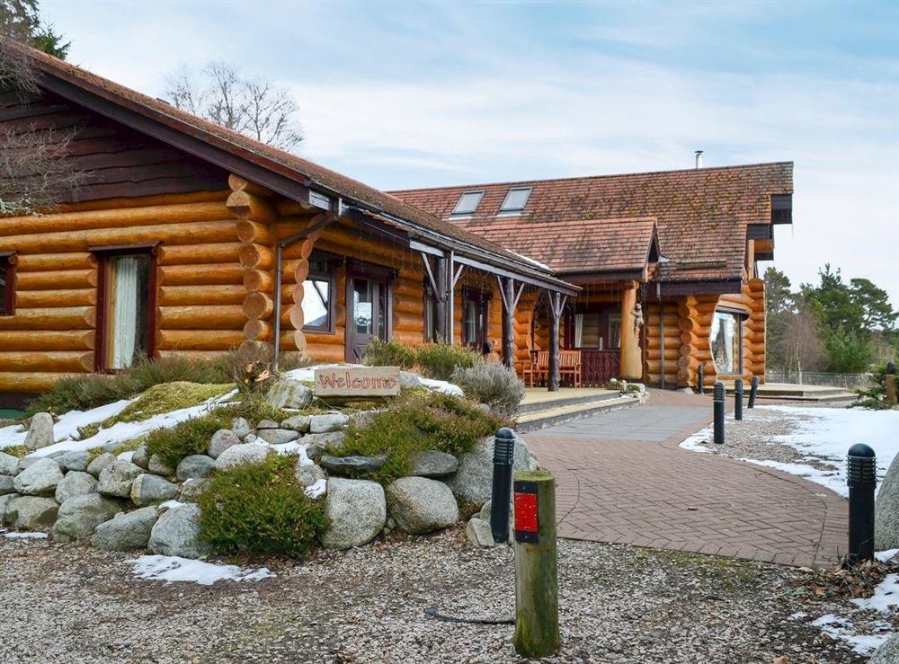 Mountain Bear Lodge in Nethy Bridge, near Aviemore, Highlands