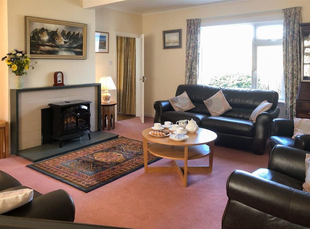Warm and cosy living room with ’log effect’ electric fire (photo 2) at Mountain Cross in Gatehouse of Fleet, Kirkcudbright., Kirkcudbrightshire