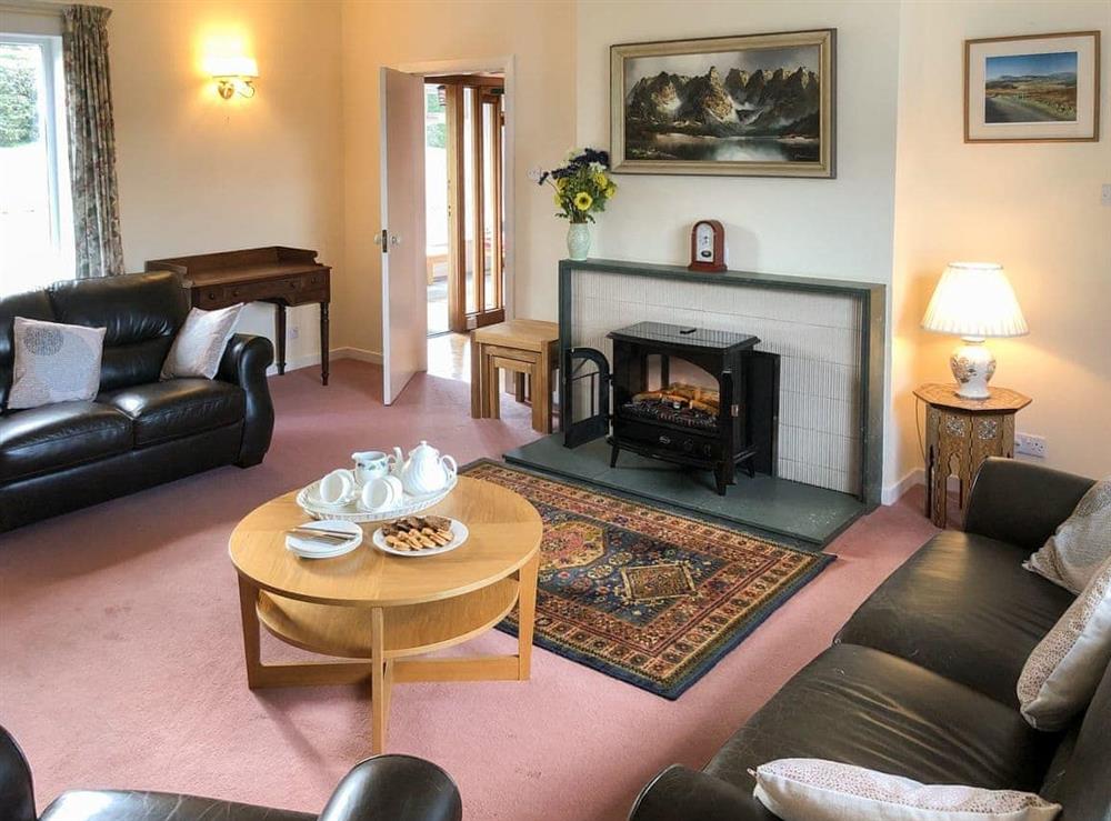 Warm and cosy living room with ’log effect’ electric fire at Mountain Cross in Gatehouse of Fleet, Kirkcudbright., Kirkcudbrightshire