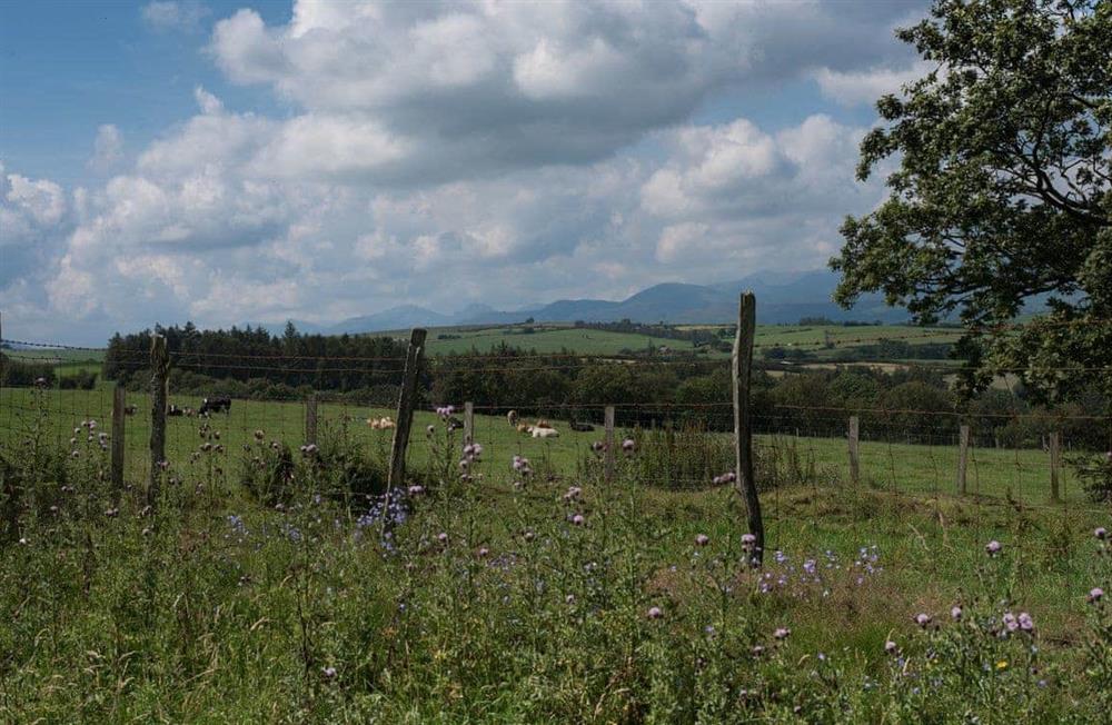Dol y Mynydd (The Mountain Meadow) (photo 19) at Dol y Mynydd (The Mountain Meadow), 
