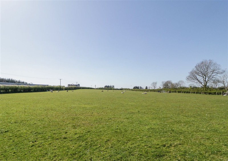 The garden in Mountain View at Mountain View, Near Armoy