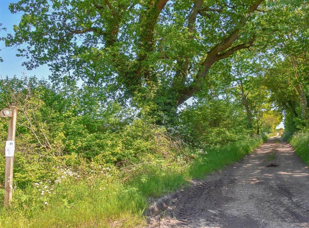 Surrounding area (photo 4) at Mouse Hole in Great Witchingham, Norfolk