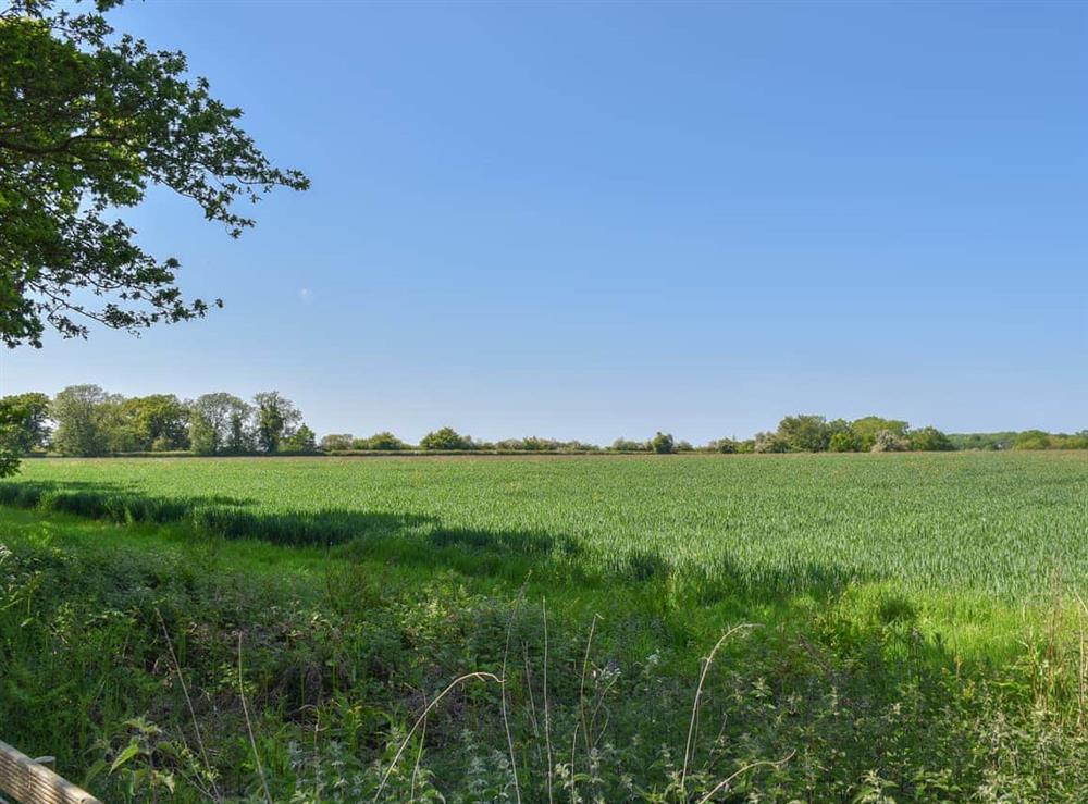 Surrounding area at Mouse Hole in Great Witchingham, Norfolk