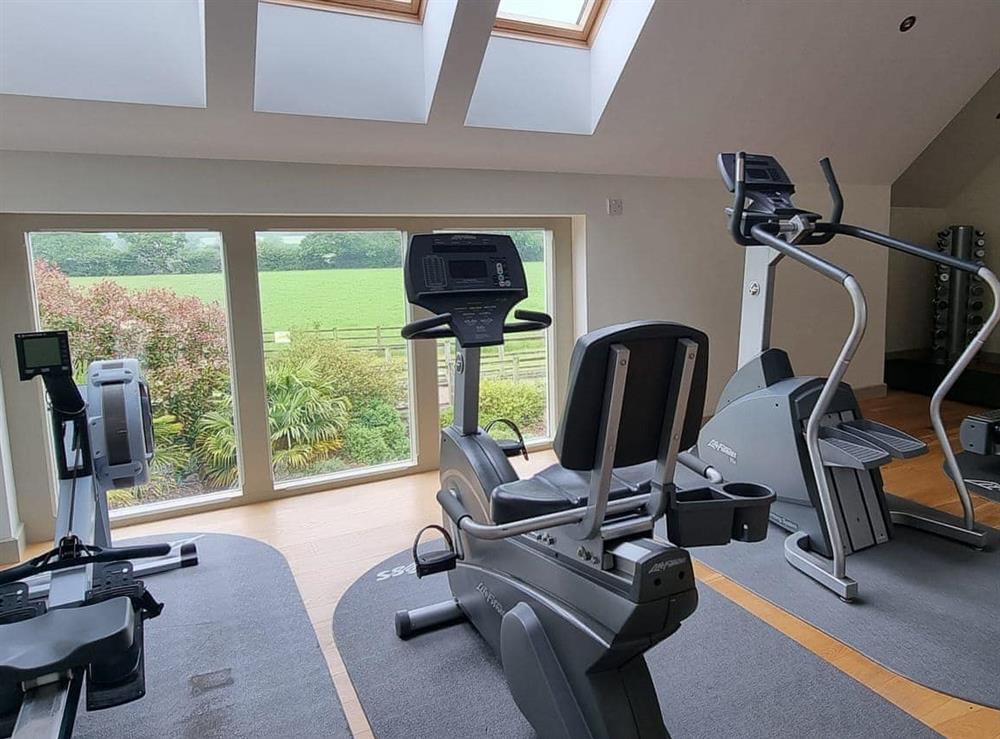 Gym - shared facility at Wellesley Park,Dulcote Wells at Mow Barton in Dulcote, Wells, Somerset