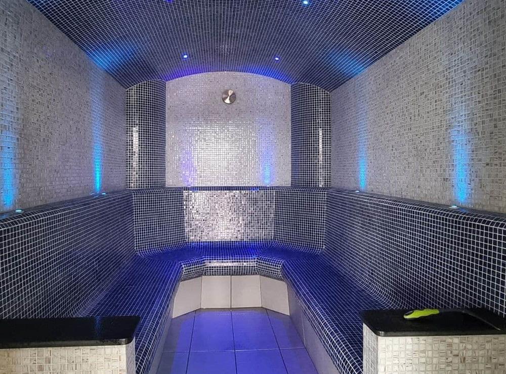 Steam room - shared facility at Wellesley Park,Dulcote Wells at Mow Barton in Dulcote, Wells, Somerset